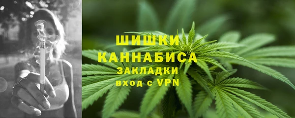 ECSTASY Бронницы