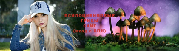 apvp Богородицк