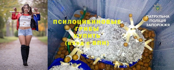 ПСИЛОЦИБИНОВЫЕ ГРИБЫ Бугульма