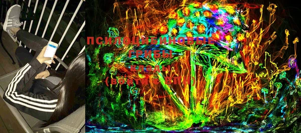 ECSTASY Бронницы
