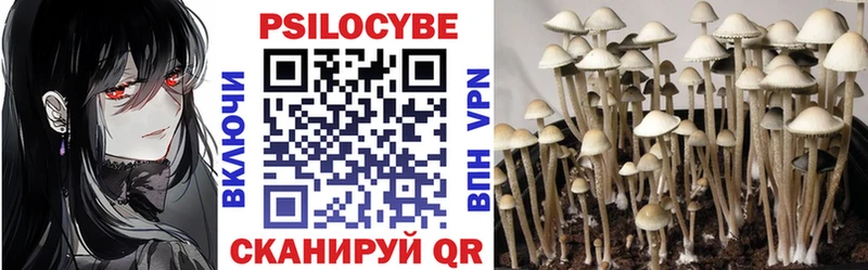 Псилоцибиновые грибы мицелий  как найти закладки  Кондопога 